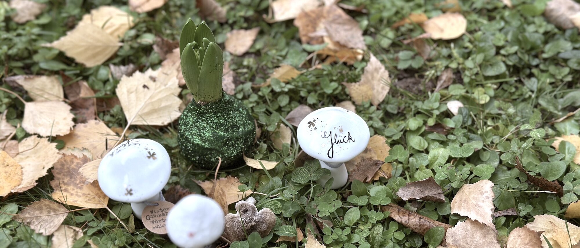 Glückspilze auf der Wiese bei Glücksklee